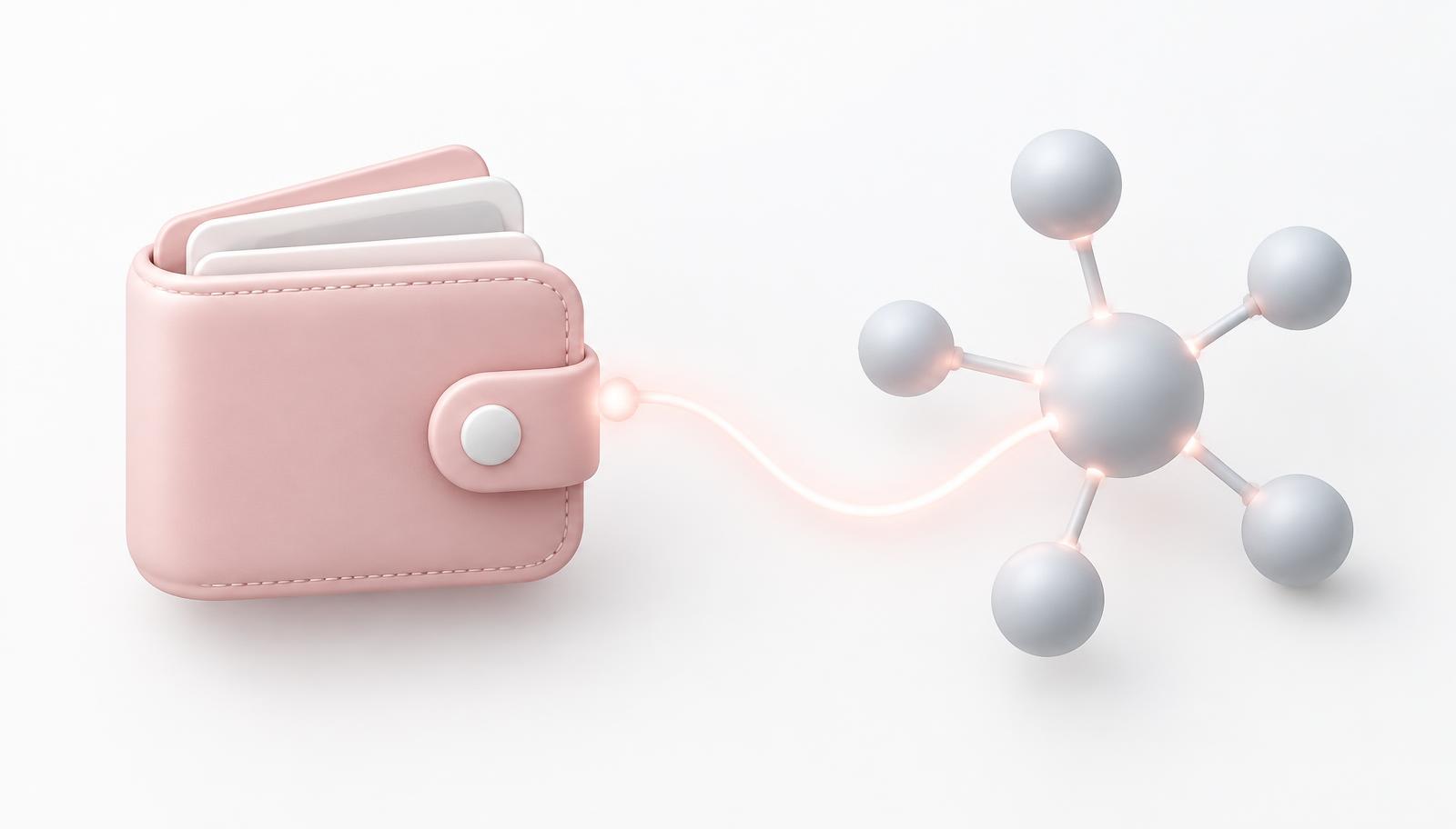 Wallet connecting to a network
